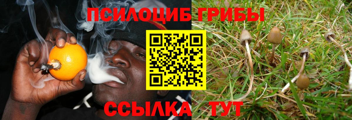 Сыктывкар  Псилоцибиновые грибы GOLDEN TEACHER  Галлюциногенные грибы прущие грибы  Вход с VPN 