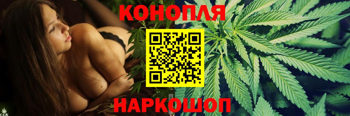 Канабис планчик Сыктывкар